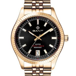 GANT Sussex Vyriškas laikrodis G166004 + dėžutė